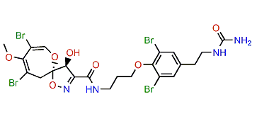 Psammaplysin Z